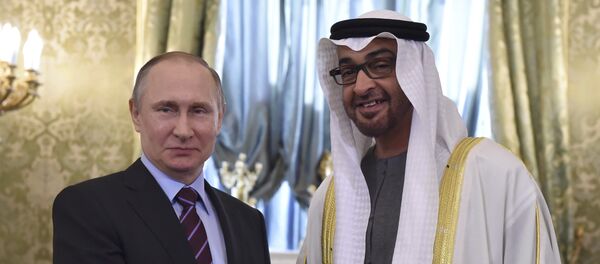 بوتين وولي عهد أبو ظبي - سبوتنيك عربي