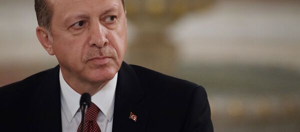 الرئيس التركي رجب طيب أردوغان - سبوتنيك عربي