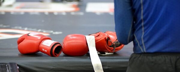 ملاكمة - سبوتنيك عربي