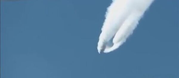 جسم غريب - سبوتنيك عربي