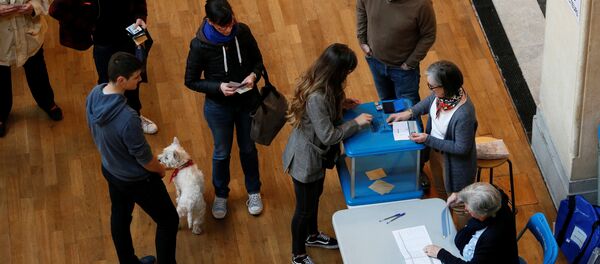 الجولة الأولى من الانتخابات الفرنسية - سبوتنيك عربي