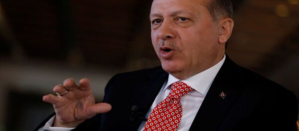 أردوغان - سبوتنيك عربي