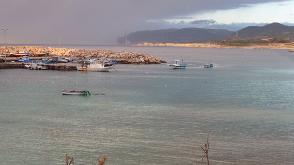 قروش البحر على موائد السوريين المحاصرين - سبوتنيك عربي