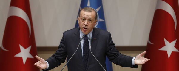 الرئيس التركي رجب طيب أردوغان - سبوتنيك عربي