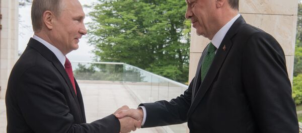 لقاء الرئيس الروسي فلاديمير بوتين بالرئيس التركي رجب طيب أردوغان في مدينة سوتشي، 3 مايو/ آيار 2017 - سبوتنيك عربي