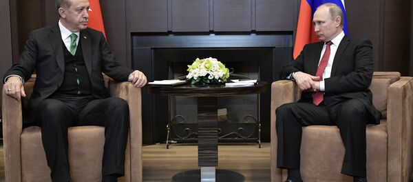 لقاء الرئيس الروسي فلاديمير بوتين بالرئيس التركي رجب طيب أردوغان في مدينة سوتشي، 3 مايو/ آيار 2017 - سبوتنيك عربي