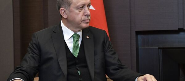 الرئيس التركي رجب طيب أردوغان خلال لقاء نظيره الرئيس فلاديمير بوتين في مدينة سوتشي، 3 مايو/ آيار 2017 - سبوتنيك عربي