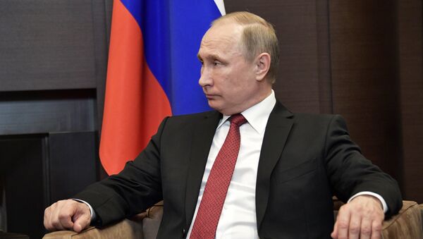 لقاء الرئيس الروسي فلاديمير بوتين مع نظيره التركي رجب طيب أردوغان في مدينة سوتشي، 3 مايو/ آيار 2017 - سبوتنيك عربي