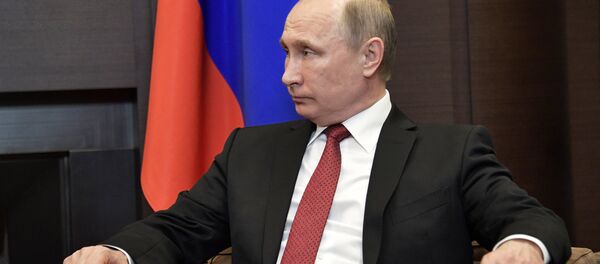 لقاء الرئيس الروسي فلاديمير بوتين مع نظيره التركي رجب طيب أردوغان في مدينة سوتشي، 3 مايو/ آيار 2017 - سبوتنيك عربي