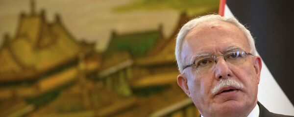 وزير الخارجية الفلسطينية رياض المالكي - سبوتنيك عربي