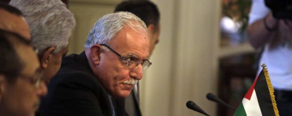 وزير الخارجية الفلسطينية رياض المالكي - سبوتنيك عربي