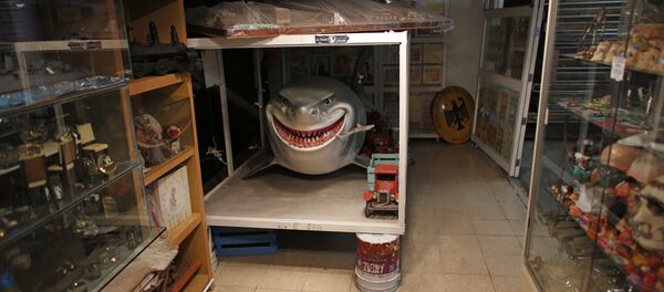 قرش - سبوتنيك عربي