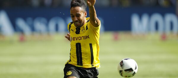 بروسيا دورتموند - سبوتنيك عربي