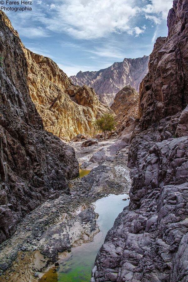 بالصور...هذه هي مصر الجنة بالصور...هذه هي مصر الجنة - سبوتنيك عربي