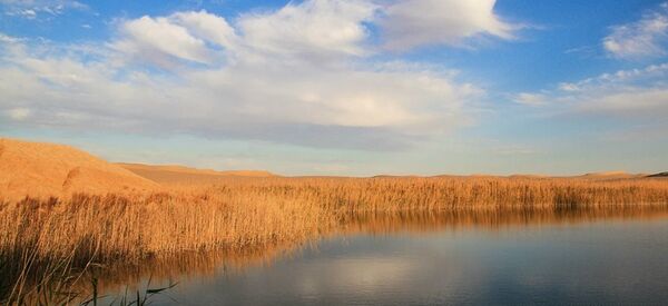سيوة - مصر - سبوتنيك عربي