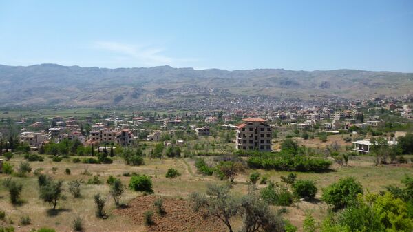الزبداني - سبوتنيك عربي