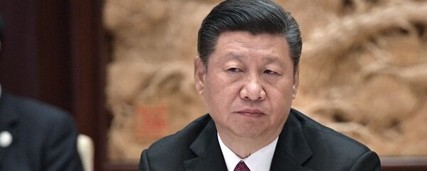 الرئيس الصيني شي جين بينغ - سبوتنيك عربي