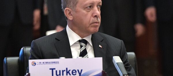 الرئيس التركي رجب طيب أردوغان - سبوتنيك عربي