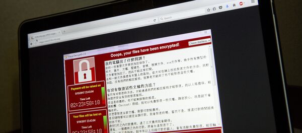 هجمات فيروس الفدية الإلكترونية - سبوتنيك عربي