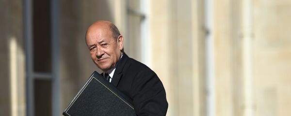 جان إيف لو دريان - سبوتنيك عربي