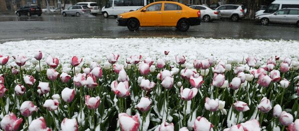 سقوط ثلوج في نوفوسيبيرسك سقوط ثلوج في نوفوسيبيرسك - سبوتنيك عربي