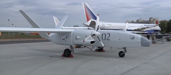 طائرة روسية - سبوتنيك عربي