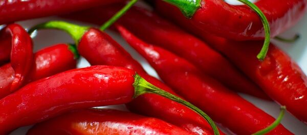 فلفل أحمر - سبوتنيك عربي