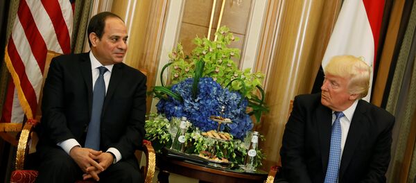 السيسي خلال لقاءه بترامب في السعودية - سبوتنيك عربي