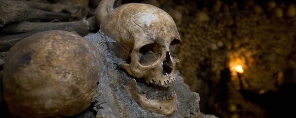 هيكل عظمي - سبوتنيك عربي