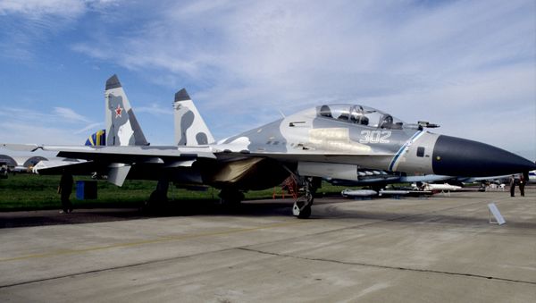 Su-30M fighter Su-30M fighter - سبوتنيك عربي