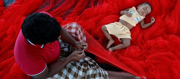 طفل هندي ينام على شبكة صيد في كوتشي، الهند 23 مايو/ آيار 2017 - سبوتنيك عربي