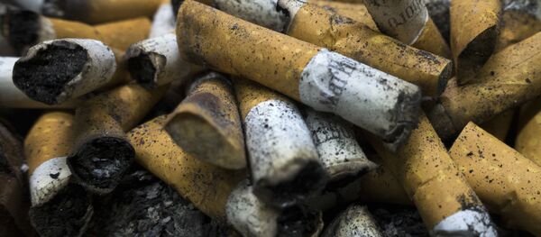 السجائر - سبوتنيك عربي