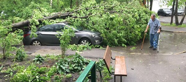 مابعد عاصفة قوية في موسكو - سبوتنيك عربي