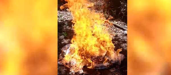 فتاة تحرق فستان زفافها - سبوتنيك عربي