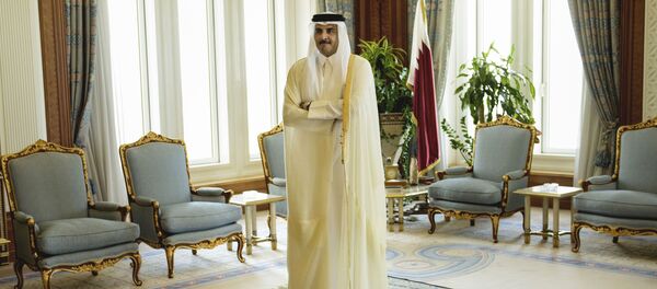 أمير قطر - سبوتنيك عربي