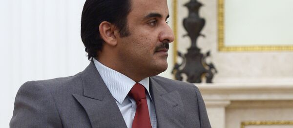 أمير قطر - سبوتنيك عربي