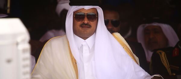 أمير قطر - سبوتنيك عربي