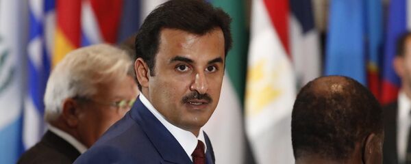 أمير قطر الشيخ تميم بن حمد آل ثاني - سبوتنيك عربي