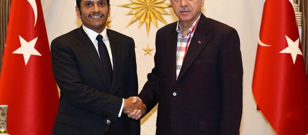 وزير الخارجية القطري محمد بن عبد الرحمن آل ثاني يلتقي بالرئيس التركي رجب طيب أردوغان - سبوتنيك عربي