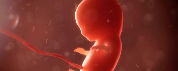 جنين - سبوتنيك عربي