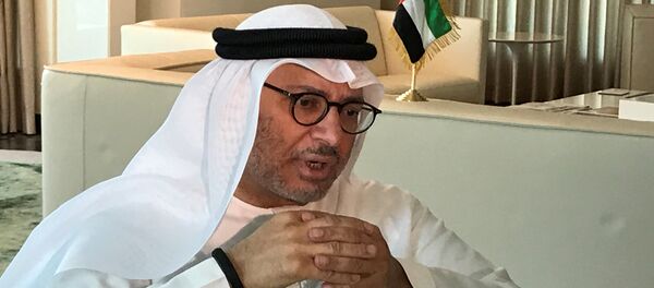 وزير خارجية الإمارات أنور قرقاش - سبوتنيك عربي