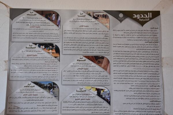 سبوتنيك توثق سيطرة الجيش السوري والقوات الرديفة على عمق 40 كم من ريف الرقة الجنوبي الغربي ريف الرقة، سوريا - سبوتنيك عربي