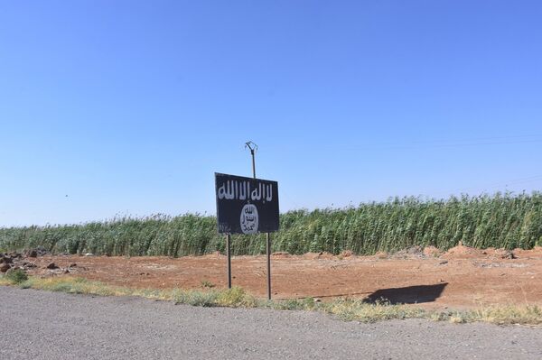 سبوتنيك توثق سيطرة الجيش السوري والقوات الرديفة على عمق 40 كم من ريف الرقة الجنوبي الغربي ريف الرقة، سوريا - سبوتنيك عربي