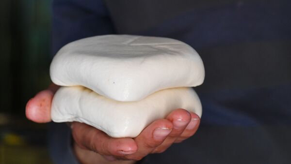 مصنع الألبان والأجبان في حمص، سوريا  - سبوتنيك عربي