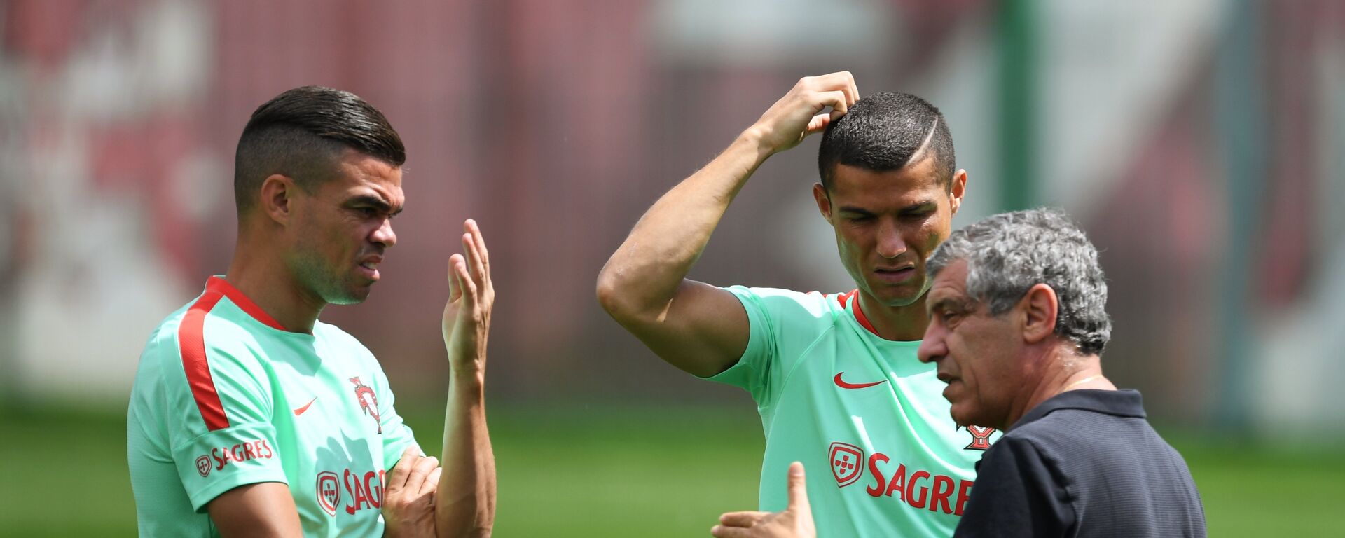 تدريبات المنتخب البرتغالي في قازان الروسية تدريبات المنتخب البرتغالي في قازان الروسية - سبوتنيك عربي, 1920, 29.11.2021