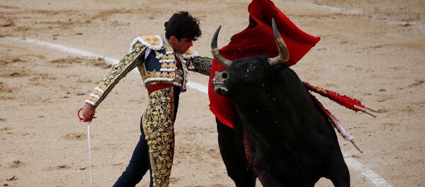 مصارعة الثيران مصارعة الثيران - سبوتنيك عربي