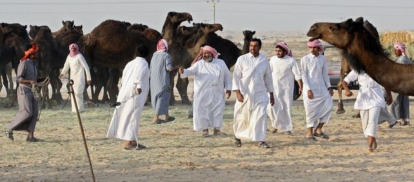 الإبل القطرية على الحدود السعودية - سبوتنيك عربي