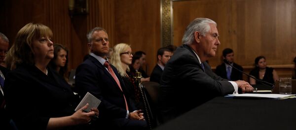 وزير الخارجية الأمريكي في لجنة العلاقات الخارجية بمجلس الشيوخ - سبوتنيك عربي