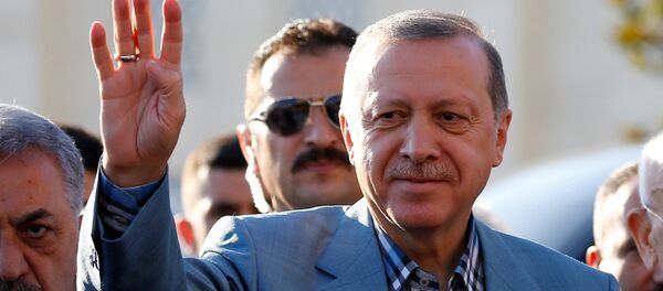 أردوغان - سبوتنيك عربي