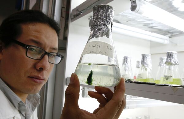 أحد العلماء - سبوتنيك عربي